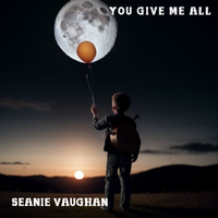 You Give Me All by Seanie Vaughan