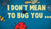 "I Don't Mean to Bug You (But God Loves You!)"