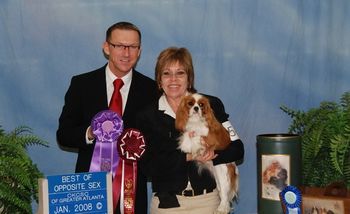Best of Opposite Sex: Signatures Mon Amie / Kathryn Phipps Winners Bitch – Signatures Mon Amie at OkayC Ch Pascavale Pancho at Brookhaven x Ch OkayC Miracle Touch Breeder - Missy Crane Owner/Handler Kayc Phipps
