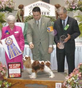 Best of Breed/Best In Show: CH TRIRAYNE TRICKY DICKIE
