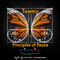 P.o.P. = Principles of Peace by Tawmy with Rita Miller