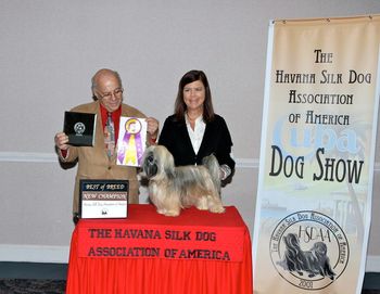 At Nationals in 2012, Genny wins Best of Breed at the Regional Specialty on Friday. Her dad, Curtis was BOS, and her sister, Maya, and brother Enzo, both won an  AOM
