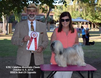 In Tuscon 2014, Genny wins BOS to her son Argo.  She also won another BOS the next day but we did not get our picture taken
