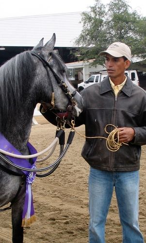 Jimmy Quijano, Champion fiesta of the spanish horse.
