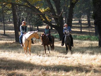 Rancho Toledano Trail partners
