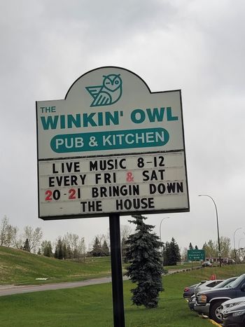 Winkin' Owl, May 2022
