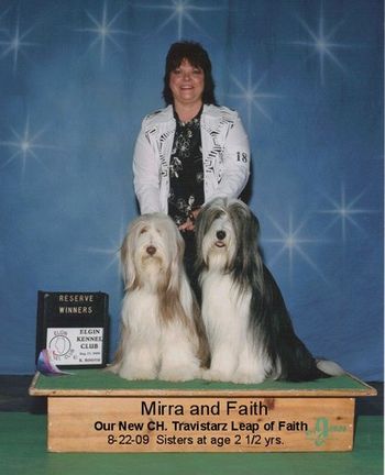 Sisters Share the Glory of Faith's New Title - AKC Champion!
