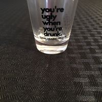 "You're Ugly When You're Drunk" Shot Glass