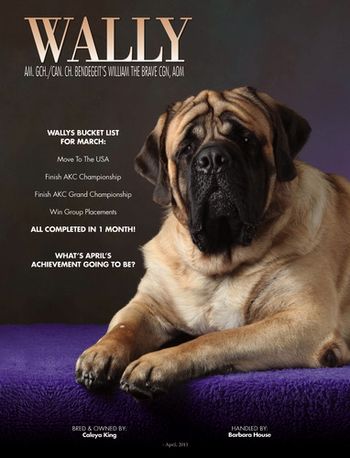 Wally's ad in Canine Chronicle, April 2013
