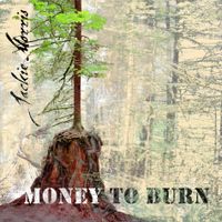 Money to Burn by Jackie Morris