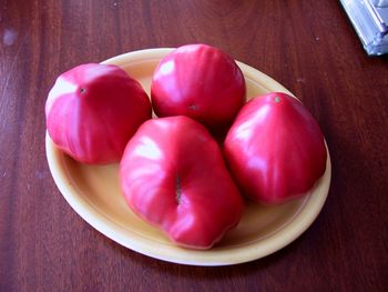 Marcia's Czech Oxheart Heirloom Tomatoes
