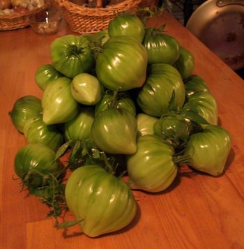 Green Tomatoes
