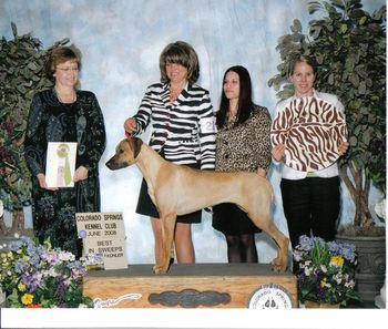 Sparta does it again.....she won BEST PUPPY IN SWEEPSTAKES at the RRCUS Supported show in Colorado Springs!!! Thank you judge Mrs.Cindy Scott. She was shown beautifully by Mary Lynne Elliott. What a wonderful accomplishment for a 8 month old puppy!!! She also won the large puppy class on Sunday : )))

