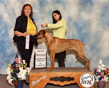 Selous is pictured winning the Bred-By hound group at the Buckhorn Valley KC under judge Dr.Carolyn Hensley. What a great day & win for my 12 month old puppy girl!! There were many nice hounds in the group that day : )
