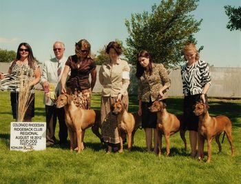 The fabulous Gane winning stud dog under judge William Sahloff! Next to him is Sparta, then Selous & last Cinder. Awesome line up!
