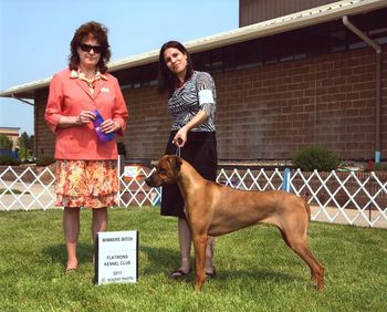 Selous is pictured winning under Ms.Bonnie Threlfall in Longmont. She sure worked hard that day! 1 bitch shy of the major...almost got it!
