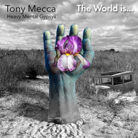 The World Is ... by Tony Mecca