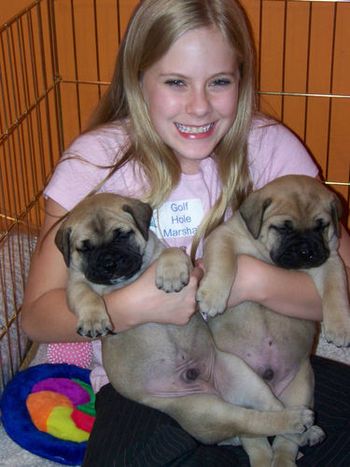 Here is Courtney with Harmony and Rambo
