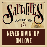 Never Givin' Up On Love by The Sattalites