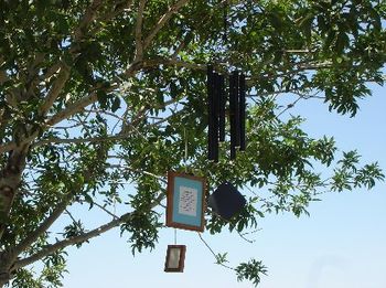Gerald R. Ford Poet Tree Wind Chimes
