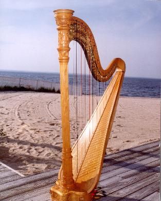 harp on the beach
