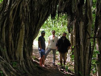 Kirby, Greg & Dion-Rainforest archway...
