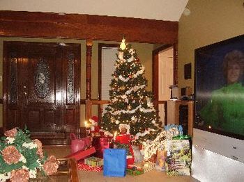 Just look at the gifts under the tree for the Holiday Gathering!!!
