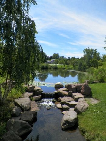 A different view of the pond
