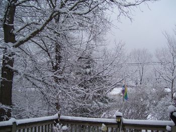 Winter view from our deck

