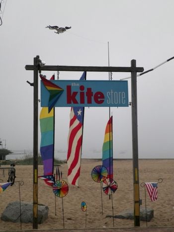 the kite store
