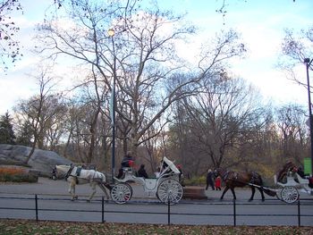 More carriages
