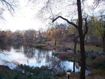Lake in Central Park
