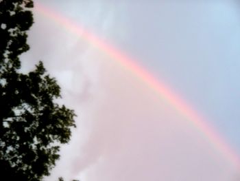 6-17-13 - Rainbow!
