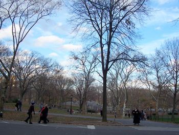 More Central Park
