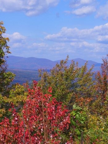 Fall view of the Catskill Mountains
