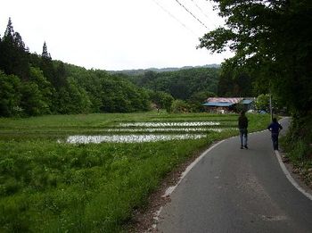 Rice fields in Kawauchi-mura, Fukushima
