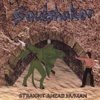 Straight Ahead Human by Soulshaker