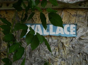 Wallace Sticker, W.C. Rice's Cross Garden. Prattville, Alabama, 2013.
