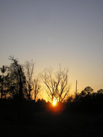 Sunset. West Mobile County, Alabama, 2008.
