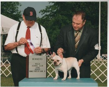 CH. HILLBUCKLE'S SNOWY BEAR, WINNING, AT PURINA FARMS, SNOWY, BECAME A CHAMPION, AT 11 MONTHS!
