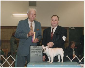 CH. HILLBUCKLE'S SNOWY BEAR, WINNING BEST OF BREED, OVER A NUMBER OF TOP CHAMPIONS, AND TOP HANDLERS, AT CLAREMORE, 2008 SHE IS ABOUT AS PERFECT, AS THEY GET!
