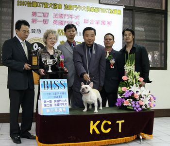 CH. HILLBUCKLE'S CHOPIN SOUTHCANAL, WINNING HIS FIRST B.I.S.S., IN TAIWAN! CHOPIN DEFEATED 110 FRENCH BULLDOGS, FOR THIS WIN. HIS OWNER STEPHEN LIN, MY GOOD FRIEND, IS ON FAR RIGHT. WE ARE BOTH VERY PROUD OF CHOPIN, WHOSE SON, IS NOW WINNING IN TAIWAN
