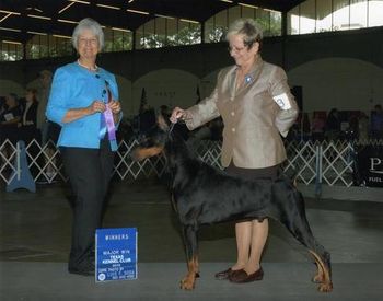4 point major under Judge Gloria Kerr at the Texas Kennel Club show. July 10,2010
