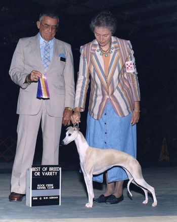 "Heather" Silhouette's Fashionably Late (pointed- retired) Handled by co breeder Connie Alexander (Kachina Kennels) Judge George Heitzman
