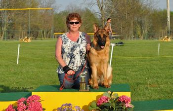 Picture of Schumann and Uhoo 12 month old male placing VP2 (very promising)  at the GSDWCA April 16, 2017 show in KY. Congratulations.
