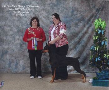 Sookie's UKC CH was completed in 1 weekend.
