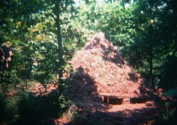 "Ozark Mountain Memorial Pyramid", Unauthorized construction abandoned in AR forest, Billy Curmano, 1974
