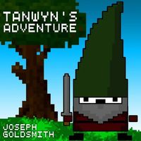 Tanwyn's Adventure by Joseph Goldsmith