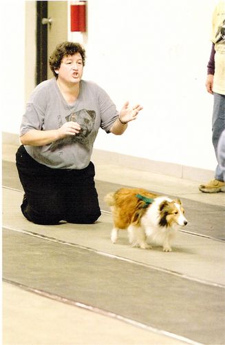 Spice at a flyball trial.
