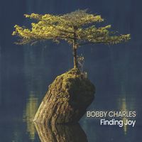 Finding Joy by Bobby Charles